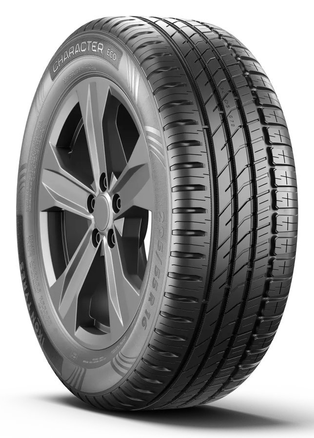 Ikon Character Eco 195/65 R15 91H