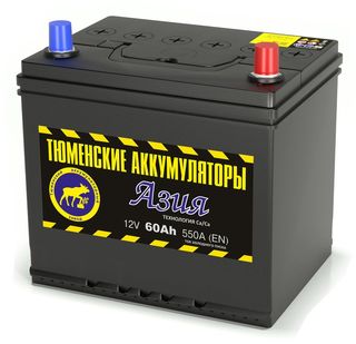 Аккумулятор 6 СТ Тюмень 60 L обр пол Азия 231x173x223